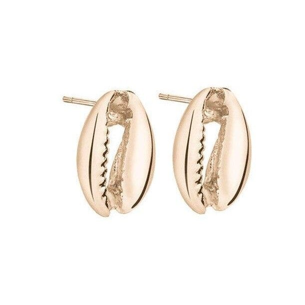 Boucles d'Oreilles Coquillage Cauri Or